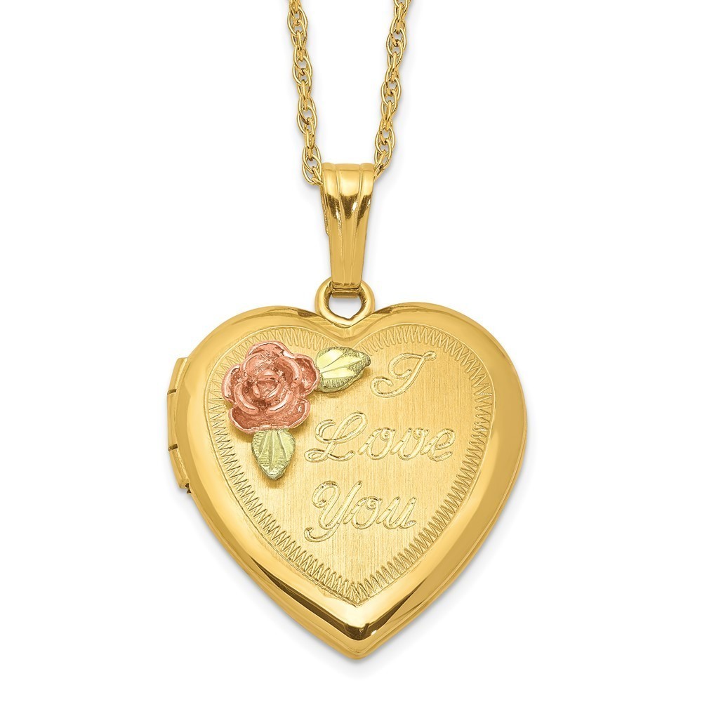 10K Gold Black Hills Locket Necklace w 12K Gold Accents & 14K Gold-Filled Chain